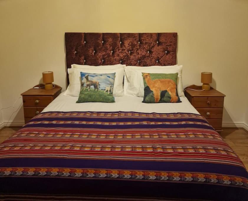 The Alpaca Farmhouse With Hot Tub And Alpaca Experience Included Dromara Εξωτερικό φωτογραφία