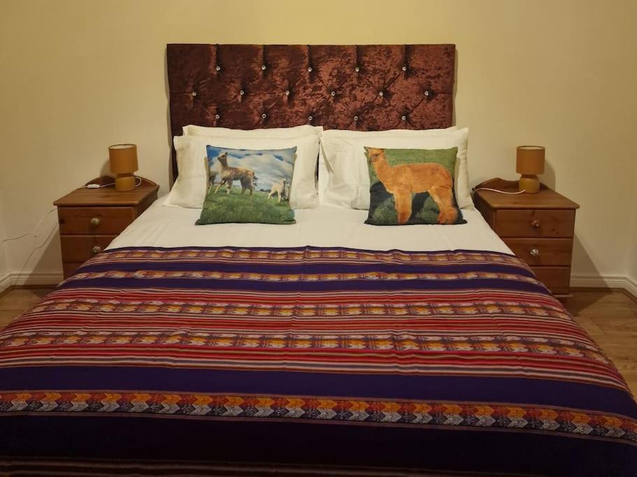 The Alpaca Farmhouse With Hot Tub And Alpaca Experience Included Dromara Εξωτερικό φωτογραφία